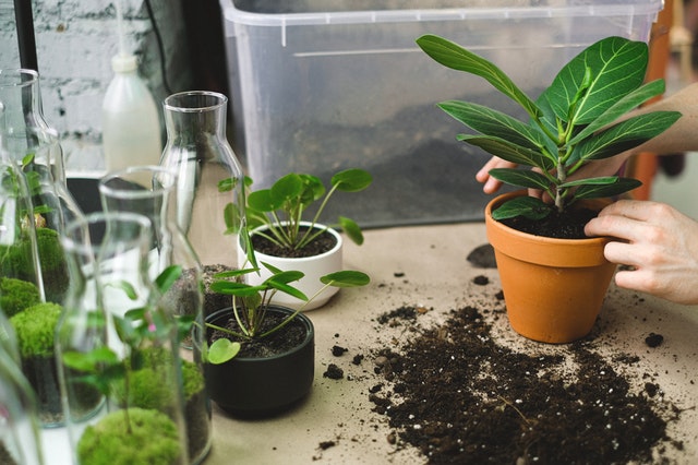 atelier création gourde personnalisée seconde vie