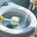 découvrez nos astuces pratiques pour détartrer efficacement le fond des toilettes. apprenez les techniques et produits recommandés pour éliminer les dépôts calcaires et redonner éclat et propreté à vos sanitaires.