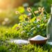 découvrez comment le mélange de vinaigre et de sel constitue un désherbant naturel efficace pour lutter contre les mauvaises herbes. apprenez les techniques d'application et les avantages de cette solution écologique pour garder votre jardin impeccable.