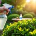 découvrez comment protéger vos buis de la pyrale grâce à un traitement naturel au vinaigre blanc. ne laissez pas ces nuisibles détruire vos plantes, apprenez des astuces simples et efficaces pour maintenir la beauté de votre jardin.