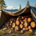 découvrez si couvrir votre bois de chauffage est vraiment nécessaire pour préserver sa qualité et son efficacité. cette exploration vous aide à comprendre les avantages et inconvénients de bâcher votre bois, ainsi que des conseils pratiques pour une meilleure utilisation.