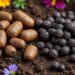 découvrez les différences entre les excréments de rat et de hérisson pour mieux protéger votre jardin. apprenez à identifier ces signes, leurs implications sur la santé de vos plantes et comment gérer ces visiteurs indésirables efficacement.